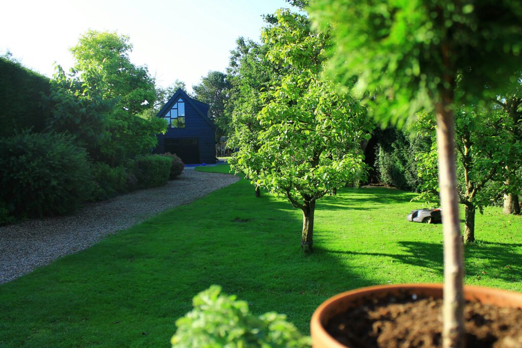 Photographie d'un grand jardin avec un habitat léger
